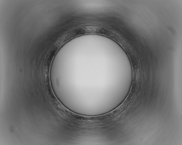 X0000111360737200907100955