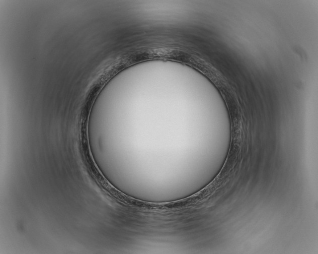 X0000111360738200907100955