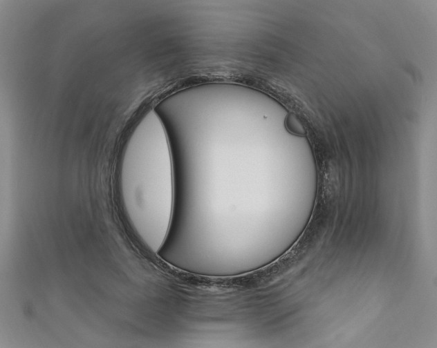 X0000111360739200907100955