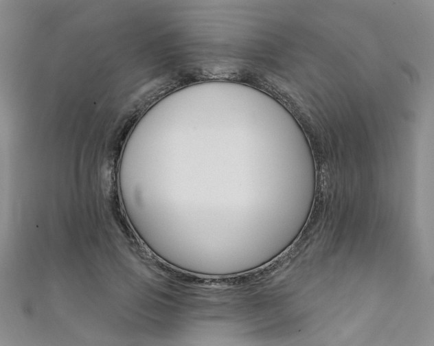 X0000111360741200907100956
