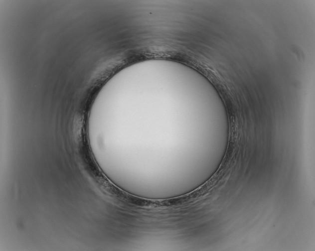 X0000111360742200907100956