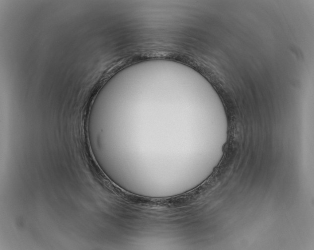 X0000111360743200907100956
