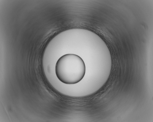 X0000111360744200907100956