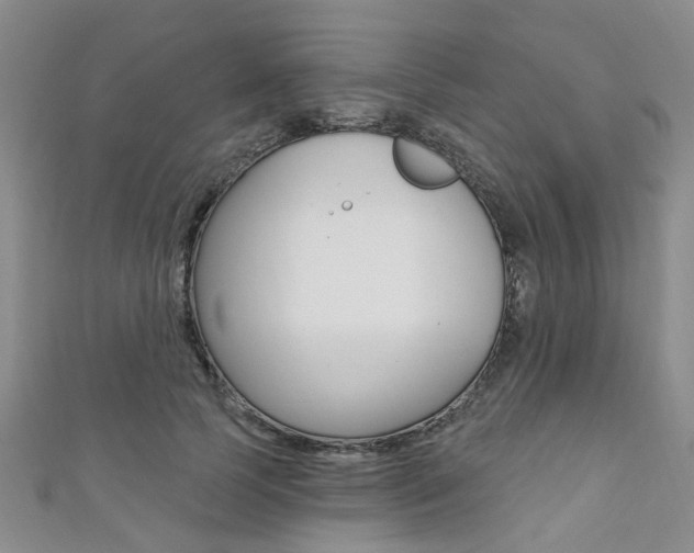 X0000111360745200907100956
