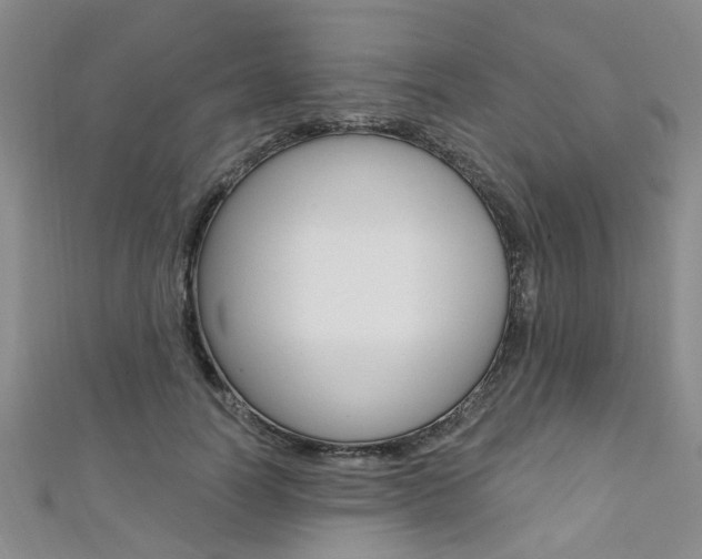 X0000111360746200907100956