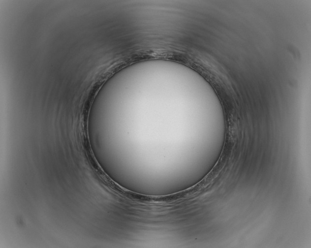 X0000111360748200907100956
