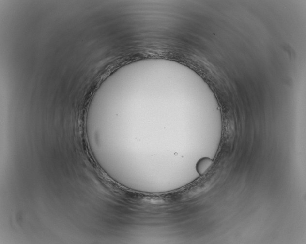 X0000111360749200907100956
