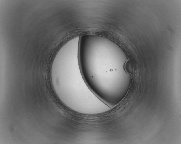 X0000111360750200907100956
