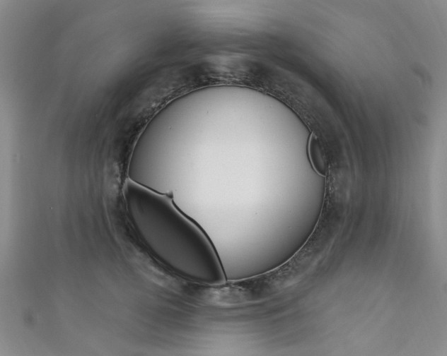 X0000111360752200907100956