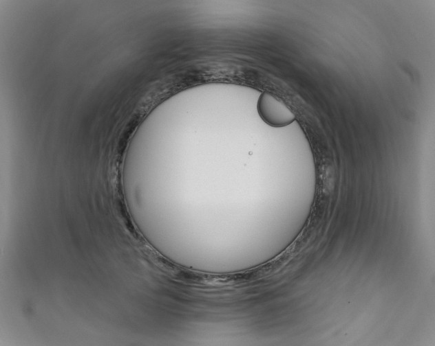 X0000111360753200907100956