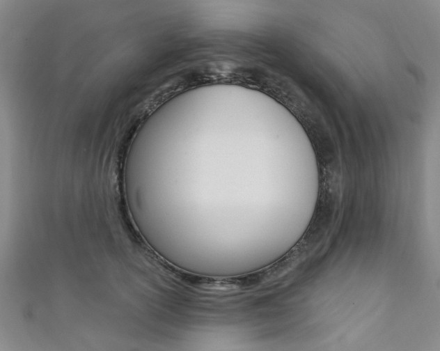 X0000111360754200907100956