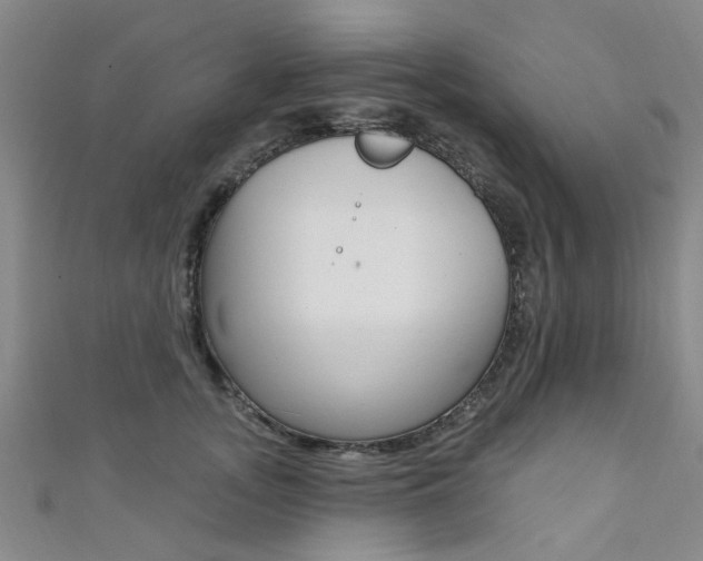 X0000111360755200907100956