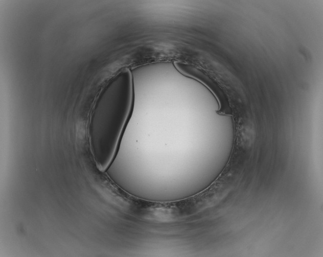 X0000111360756200907100956