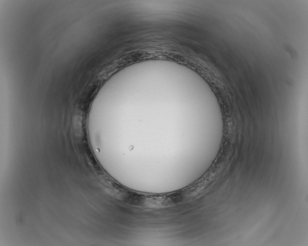 X0000111360757200907100956