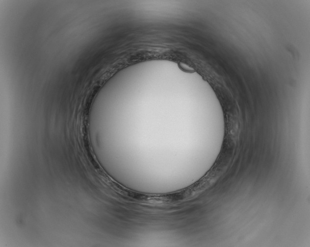 X0000111360758200907100956