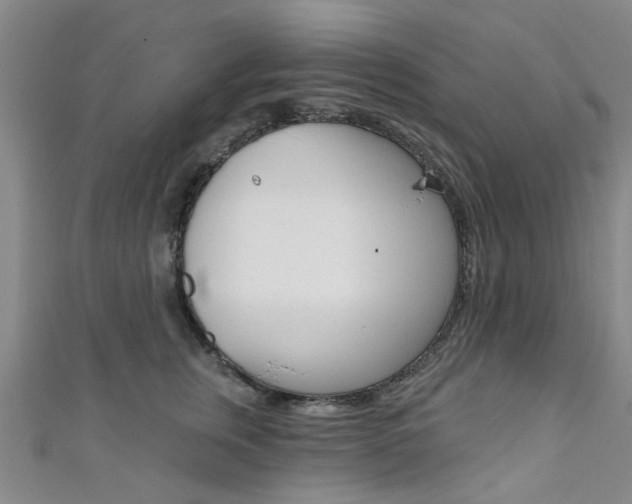 X0000111360759200907100956