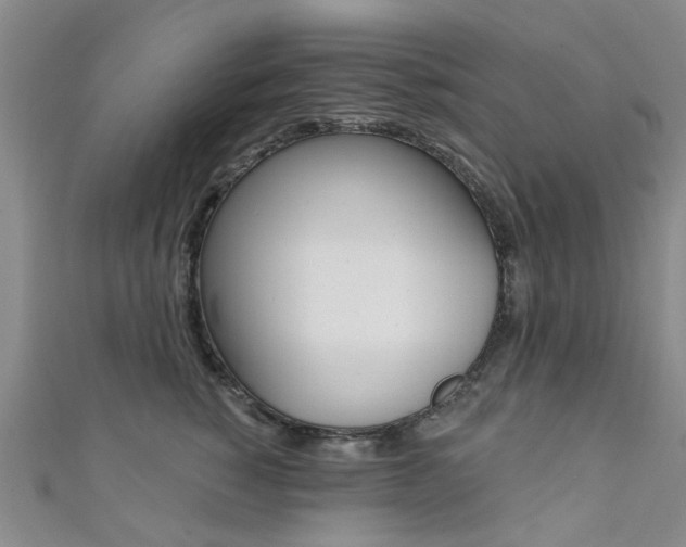 X0000111360760200907100956