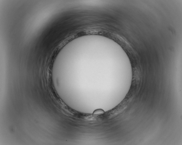 X0000111360761200907100956