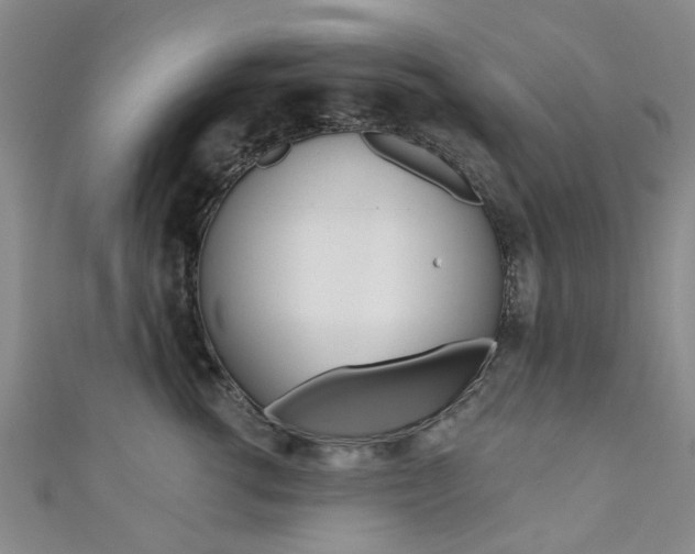 X0000111360762200907100956