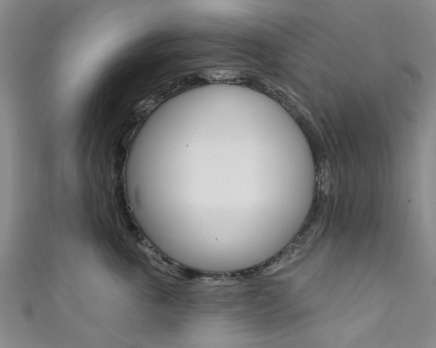 X0000111360763200907100956