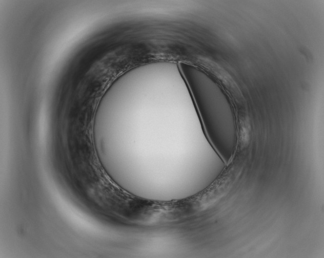 X0000111360764200907100956