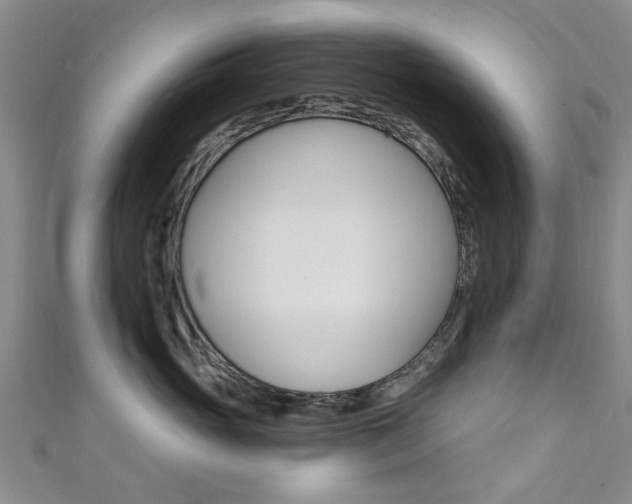 X0000111360765200907100956
