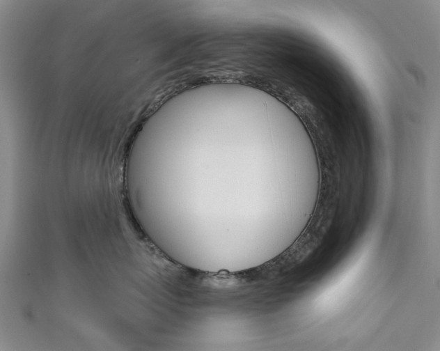 X0000111360767200907100956