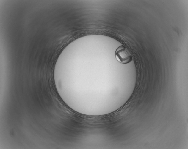 X0000111360768200907100956