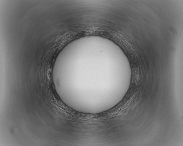 X0000111360770200907100955