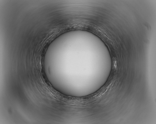 X0000111360771200907100955