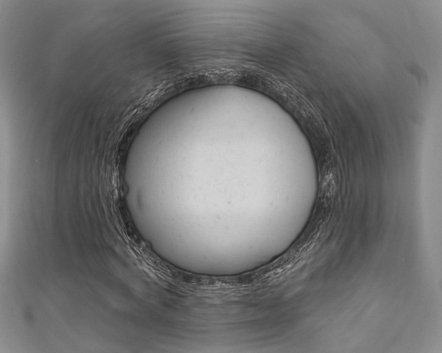 X0000111360772200907100955