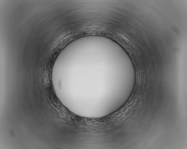 X0000111360774200907100955