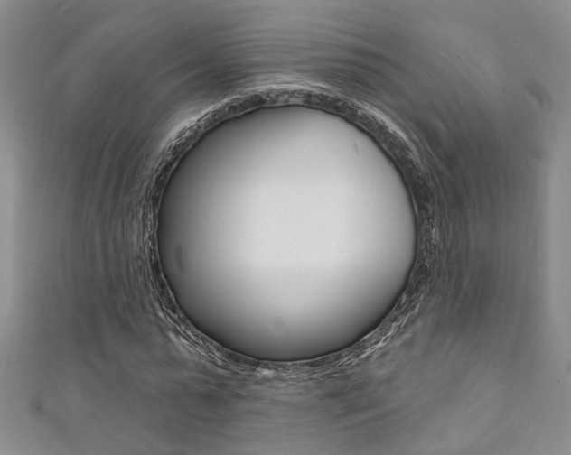 X0000111360775200907100955