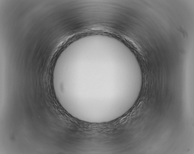 X0000111360776200907100955