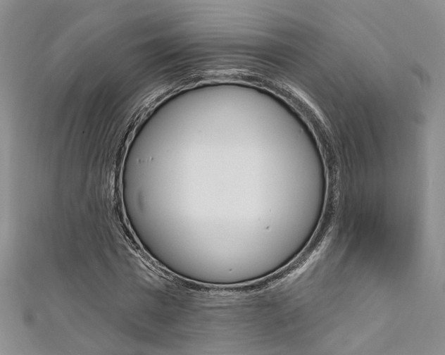 X0000111360777200907100955
