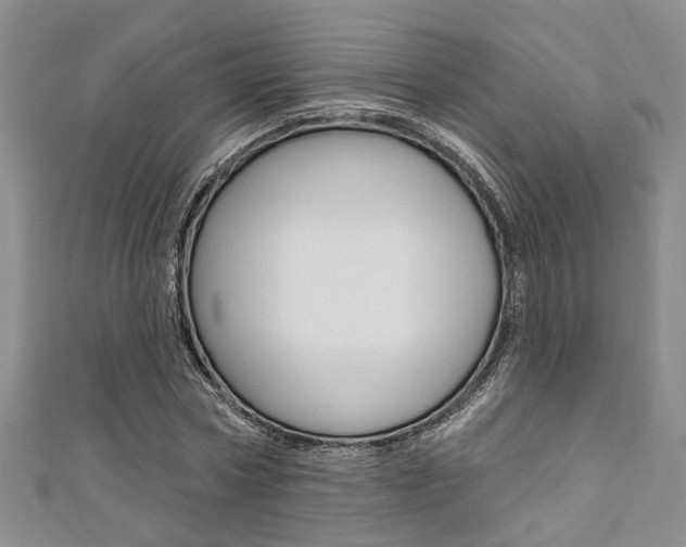 X0000111360778200907100955