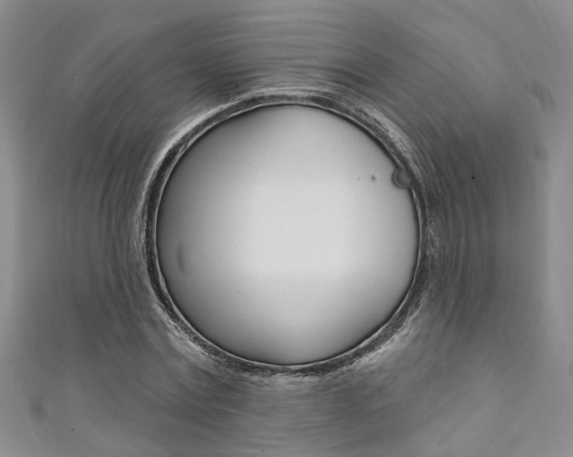 X0000111360779200907100955