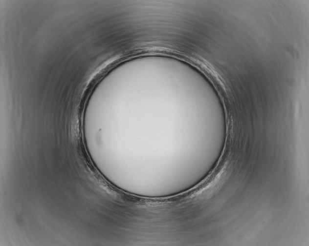 X0000111360782200907100955