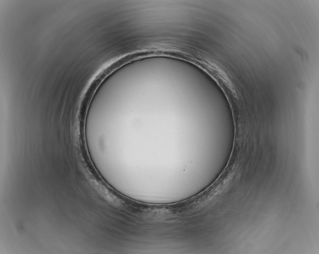 X0000111360784200907100955