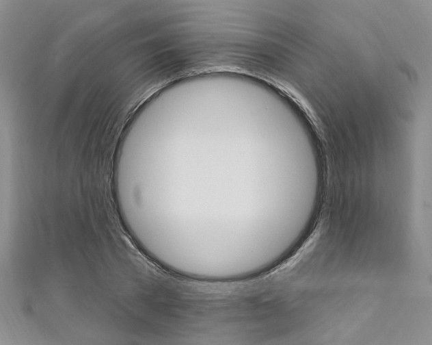 X0000111360785200907100955
