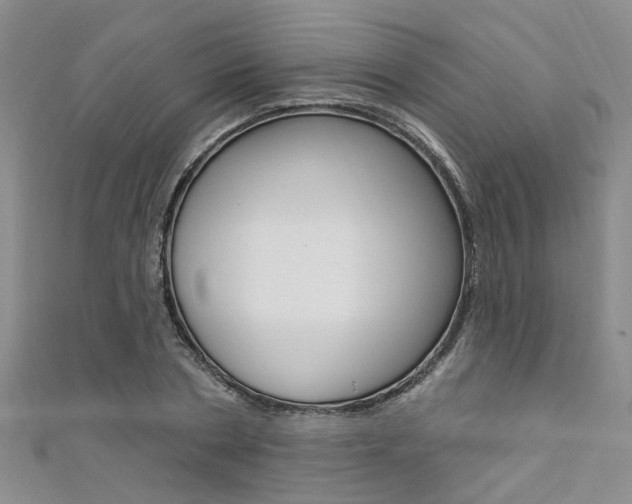 X0000111360786200907100955