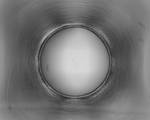 X0000111360789200907100955
