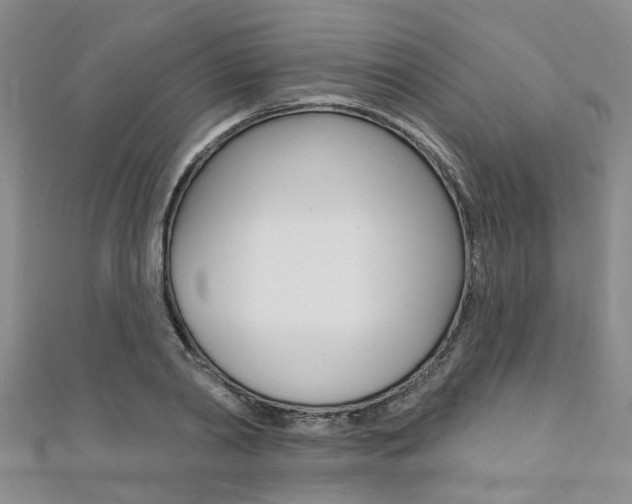 X0000111360790200907100955