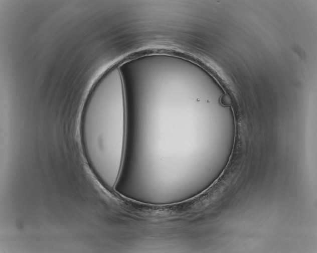 X0000111360791200907100955