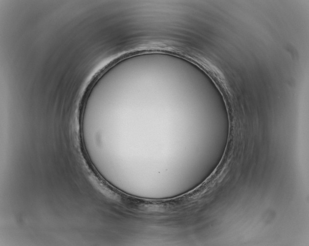 X0000111360792200907100955