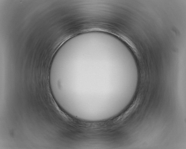 X0000111360793200907100955