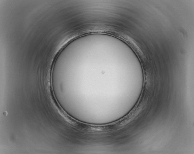 X0000111360794200907100955