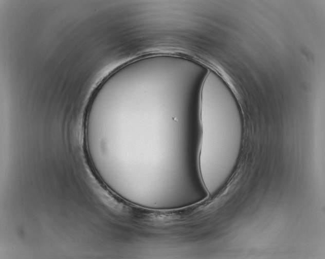 X0000111360795200907100955