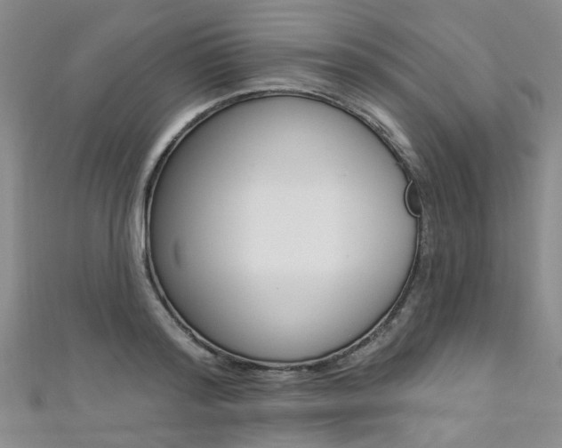 X0000111360796200907100955