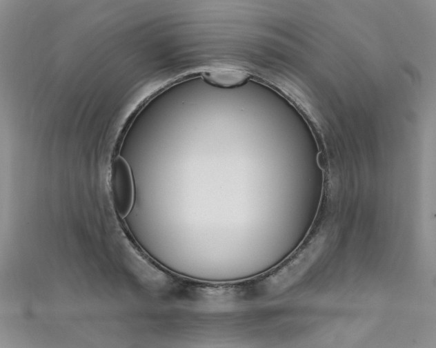X0000111360797200907100955